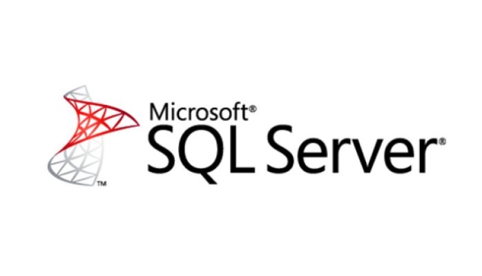 Sql Server how to Manage transaction logs